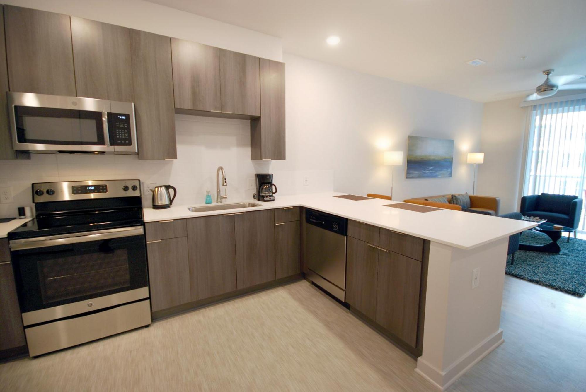 Spectacular Apartments By Bca Furnished Apartments Atlanta Pokój zdjęcie