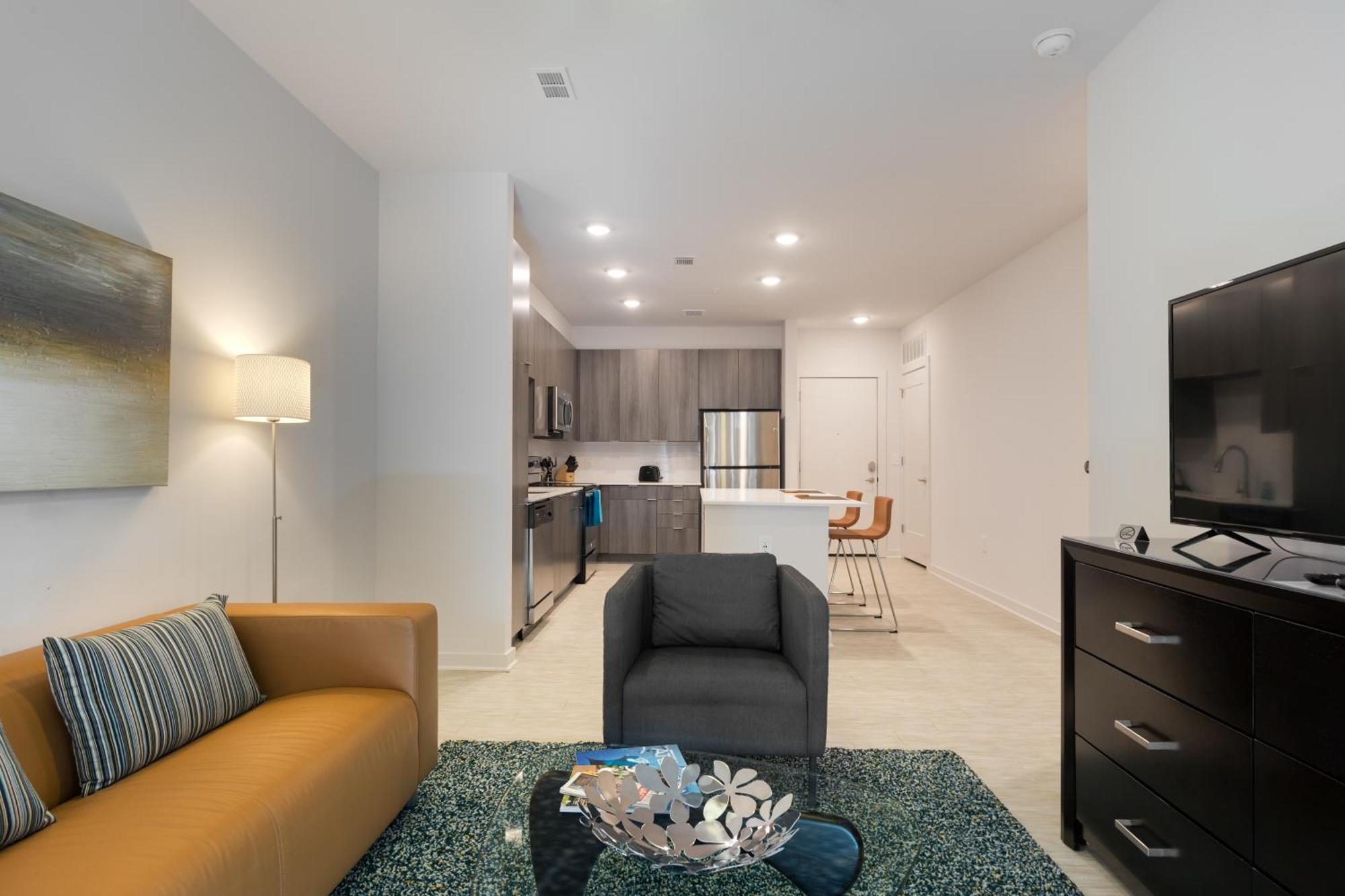 Spectacular Apartments By Bca Furnished Apartments Atlanta Pokój zdjęcie