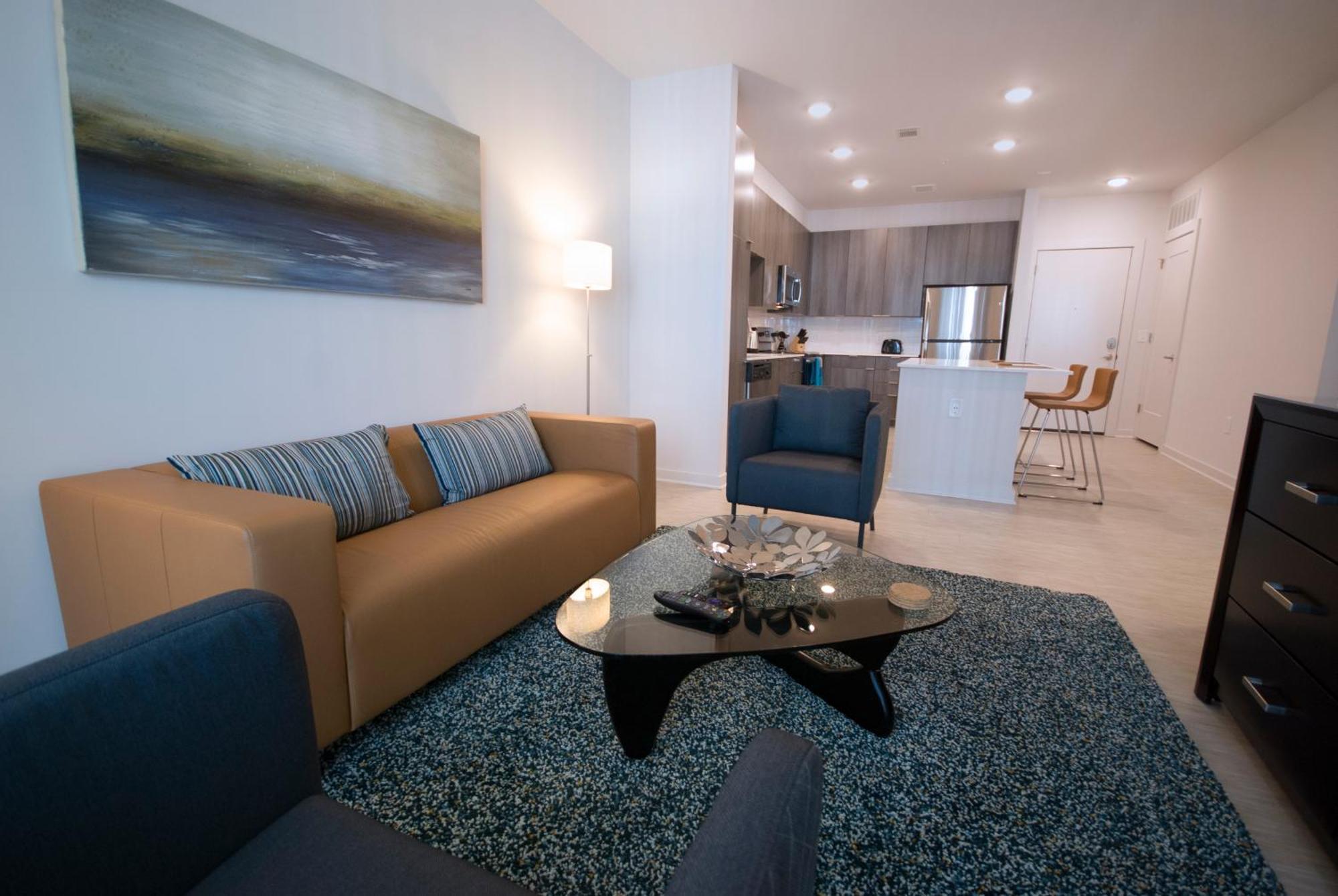 Spectacular Apartments By Bca Furnished Apartments Atlanta Pokój zdjęcie